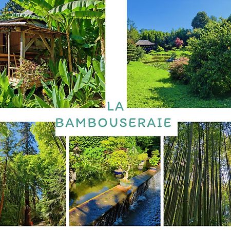Gite Proche De La Bambouseraie Boisset-et-Gaujac Екстер'єр фото